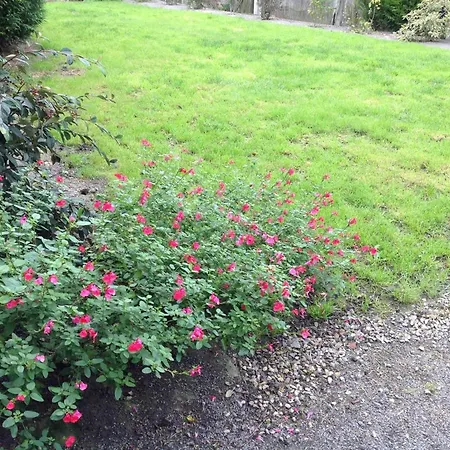 Sejour Litteraire En Suisse Normande Avec Wifi - Fr-1-497-93 Segrie-Fontaine