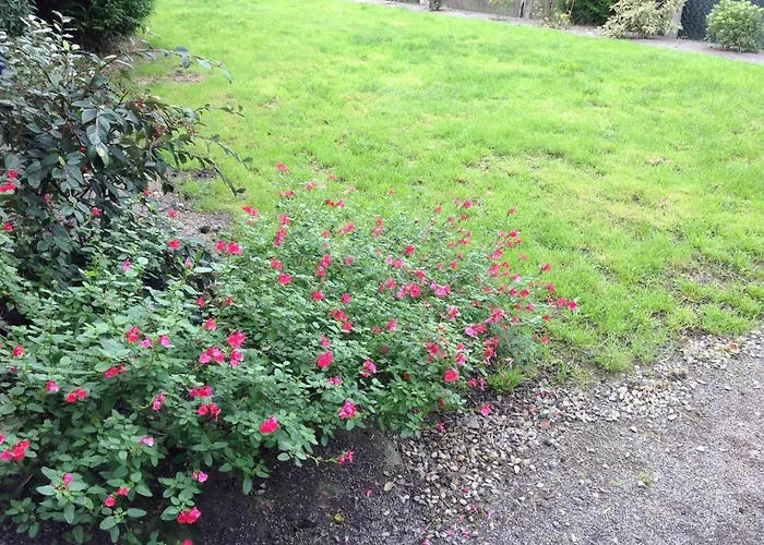 Sejour Litteraire En Suisse Normande Avec Wifi - Fr-1-497-93 Segrie-Fontaine